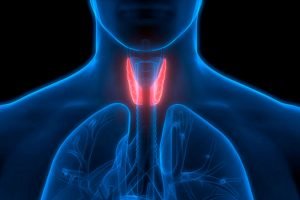 Endocrinologia
